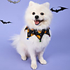 Dog Cat Halloween Costumes Dog Bandana Dog Hat Dog Birthday Bandana Hat Skull Pumpkin Birthday Reversible Party Halloween Dog Clothes Double-Sided Costume Polyester S M