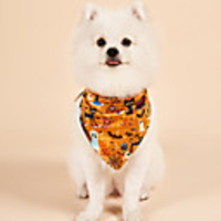 Dog Cat Halloween Costumes Dog Bandana Dog Hat Dog Birthday Bandana Hat Skull Pumpkin Birthday Reversible Party Halloween Dog Clothes Double-Sided Yellow Costume Polyester S M