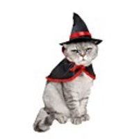 Dog Cat Halloween Costumes Ornaments Hair Accessories Solid Colored Party / Evening Cosplay Party Halloween Dog Clothes Puppy Clothes Dog Outfits Black Costume for Girl and Boy Dog Terylene S