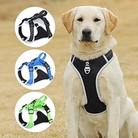 Dog Cat Harness Mesh Solid Colored Fashion Simple Style Casual / Daily Outdoor Dog Clothes Puppy Clothes Dog Outfits Reflective Black Green Blue Costume for Girl and Boy Dog Polyester S M L XL miniinthebox