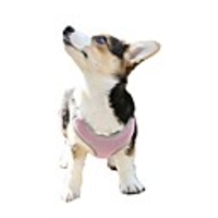 Dog Cat Harness Portable Solid Colored Polyester Labrador Alaskan Malamute Golden Retriever Dalmatian Beagle Bulldog Black Blue 1pc