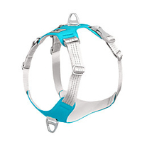 Dog Cat Harness Training Leash Harness Leash Set Breathable Adjustable Flexible Escape Proof Outdoor Walking Flower Nylon Small Dog Medium Dog Purple Yellow Red Blue Green miniinthebox