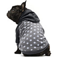 Dog Cat Hoodie Sweatshirt Polka Dot Casual / Sporty Cute Casual / Daily Winter Dog Clothes Breathable Gray Costume Cotton XS S M L XL XXL
