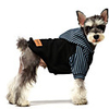 Dog Cat Hoodie Sweatshirt Striped Casual / Sporty Cool Casual / Daily Dog Clothes Breathable Black Costume Cotton XXS XS S M L