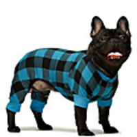 Dog Cat Jumpsuit Pajamas Plaid Casual / Sporty Fashion Casual / Daily Dog Clothes Breathable Red Blue Green Costume Cotton XS S M L XL XXL