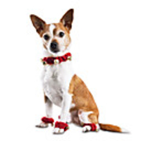 Dog Cat Outfits Bandanas Hats Christmas Costume Santa Claus Santa Claus Classic Cosplay Christmas Party Winter Dog Clothes Puppy Clothes Dog Outfits Adjustable Red Costume for Girl and Boy Dog