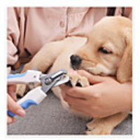 Dog Cat Outfits Grooming Nail Brush Nail Trimmer Plastic Metal ABSPC Nail Clipper Easy to Install Pet Grooming Supplies Blue Pink 1