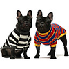Dog Cat Pajamas T-shirts Striped Casual / Sporty Casual / Daily Dog Clothes Breathable White Yellow Costume Cotton XS S M L XL XXL