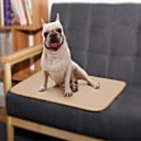 Dog Cat Pets Bed Solid Colored Nylon 6045 cm