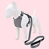 Dog Cat Pets Collar Leash Cute and Cuddly Decoration Nylon