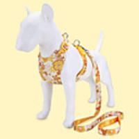 Dog Cat Pets Collar Leash Cute and Cuddly Decoration Nylon Black