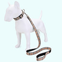 Dog Cat Pets Collar Leash Cute and Cuddly Decoration Nylon Khaki