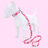 Dog Cat Pets Collar Leash Cute and Cuddly Decoration Nylon Pink