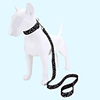 Dog Cat Pets Collar Leash Cute and Cuddly Decoration Nylon Pink
