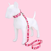 Dog Cat Pets Collar Leash Cute and Cuddly Decoration Nylon Pink