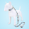 Dog Cat Pets Collar Leash Cute and Cuddly Decoration Nylon Rainbow