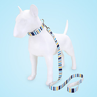 Dog Cat Pets Collar Leash Cute and Cuddly Decoration Nylon Rainbow