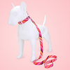 Dog Cat Pets Collar Leash Cute and Cuddly Decoration Nylon Rainbow