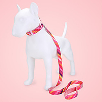 Dog Cat Pets Collar Leash Cute and Cuddly Decoration Nylon Rainbow