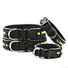 Dog Cat Pets Collar Light Up Collar Portable Retractable Soft Cute and Cuddly Adjustable Flexible Durable Easy Walk Color Block Classic PU Leather Golden Retriever Corgi Beagle Bulldog Shiba Inu
