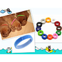 Dog Cat Pets Collar Portable Retractable Soft Cute and Cuddly Solid Adjustable Flexible Durable Solid Colored Classic Polyester Beagle Bulldog Shiba Inu Pug Bichon Frise Schnauzer Rainbow 1 set