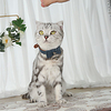 Dog Cat Pets Collar Tie / Bow Tie Portable Soft Cute and Cuddly Adjustable Flexible Durable Outdoor Walking Solid Colored Classic PU Leather Polyester Bichon Frise Schnauzer Shih Tzu Poodle Chihuahua miniinthebox