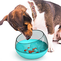 Dog Cat Pets Feeders / Dog Cat Bowls ABSPC Durable No-Spill Solid Colored Yellow Blue Green Bowls Feeding miniinthebox