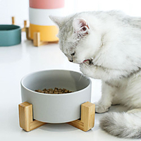 Dog Cat Pets Feeders / Dog Cat Bowls Glasses Durable No-Spill Solid Colored White Yellow Pink Bowls Feeding miniinthebox