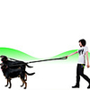 Dog Cat Pets Harness Leash Double Dog Leash Reflective Portable Retractable Wearable Soft Adjustable Flexible Durable Solid Colored Classic Nylon Husky Labrador Alaskan Malamute Golden Retriever