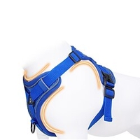 Dog Cat Pets Harness Leash Portable Durable Safety Outdoor Walking Letter Polyester Small Dog Blue 1pc miniinthebox