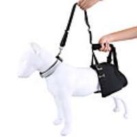 Dog Cat Pets Harness Leash Portable Retractable Soft Cute and Cuddly Adjustable Flexible Durable Casual / Daily Solid Colored Lolita Nylon Corgi Beagle Bulldog Shiba Inu Cocker Spaniel Pug Black 1pc