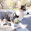 Dog Cat Pets Harness Leash Reflective Portable Retractable Soft Cute and Cuddly Adjustable Flexible Durable Geometic Cartoon Christmas Polyester Golden Retriever Corgi Beagle Bulldog Shiba Inu Cocker