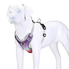Dog Cat Pets Harness Reflective Portable Retractable Soft Cute and Cuddly Adjustable Flexible Durable Color Block British Nylon Beagle Bulldog Shiba Inu Pug Bichon Frise Schnauzer Purple Blue 1pc