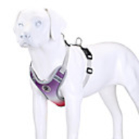 Dog Cat Pets Harness Reflective Portable Retractable Soft Cute and Cuddly Adjustable Flexible Durable Color Block British Nylon Beagle Bulldog Shiba Inu Pug Bichon Frise Schnauzer Purple Blue 1pc
