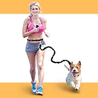 Dog Cat Pets Leash Portable Mini Trainer Walking Casual Solid Colored Nylon Husky Labrador Alaskan Malamute Golden Retriever Dalmatian Border Collie Black Red Blue