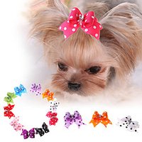 Dog Cat Pets Ornaments Hair Accessories Hair Bow Rhinestone Strobe / Flashing Handmade For Dog / Cat Bowknot Cute Polka Dot Bowknot Rhinestone Polyester Rainbow 10pcs miniinthebox