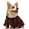 Dog Cat Shirt / T-Shirt Plaid Bowtie Casual / Sporty Cute Wedding Party Dog Clothes Breathable Red Costume Cotton XS S M L XL XXL