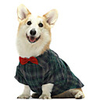 Dog Cat Shirt / T-Shirt Plaid Bowtie Casual / Sporty Gentle Wedding Party Dog Clothes Breathable Green Costume Cotton XS S M L XL XXL