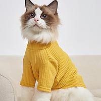 Dog Cat Shirt / T-Shirt Sweatshirt Solid Colored Basic Leisure Dailywear Casual / Daily Dog Clothes Puppy Clothes Dog Outfits Breathable Yellow Green Costume for Girl and Boy Dog Polyster XS S M L