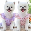 Dog Cat Skirt Graphic Solid Colored Adorable Cute Dailywear Casual / Daily Dog Clothes Puppy Clothes Dog Outfits Green Purple Rosy Pink Costume for Girl and Boy Dog Polyester XS S M L XL miniinthebox