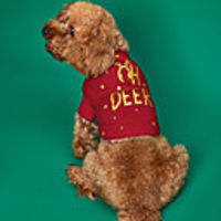 Dog Cat Sweater Christmas Costume Elk Classic Christmas Winter Dog Clothes Puppy Clothes Dog Outfits Breathable Red Costume for Girl and Boy Dog Polyster XS S M L XL