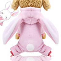 Dog Cat Sweater Hoodie Jumpsuit Ordinary Casual / Daily Leisure Winter Dog Clothes Puppy Clothes Dog Outfits Pink Costume for Girl and Boy Dog Lamb Fur 100% Coral Fleece Polyester XS S M L XL XXL