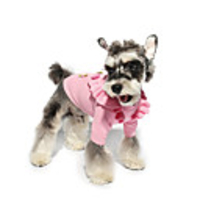 Dog Cat Sweater Polka Dot Flower Classic Thick Velvet Casual / Daily Winter Dog Clothes Puppy Clothes Dog Outfits Breathable Yellow Fuchsia Costume for Girl and Boy Dog Cotton S M L XL