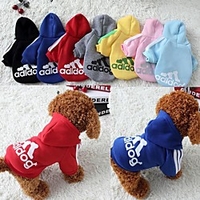 Dog Cat Sweatshirt Elegant Adorable Cute Dailywear Casual / Daily Dog Clothes Puppy Clothes Dog Outfits Breathable Yellow Red Black Costume for Girl and Boy Dog Cotton XS S M L XL XXL miniinthebox
