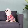 Dog Cat T-shirts Elegant Adorable Cute Dailywear Casual / Daily Dog Clothes Puppy Clothes Dog Outfits Breathable Red Black Green Costume for Girl and Boy Dog Cotton XS S M L XL miniinthebox