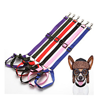 Dog Cat Training Leash Dog Leash Pet Walking Leash Retractable Adjustable Flexible Escape Proof With Anti-Slip Handle Outdoor Walking Solid Colored Nylon Small Dog Medium Dog Black Purple Red Blue miniinthebox