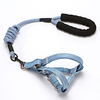 Dog Cat Training Leash Dog Leash Pet Walking Leash Retractable Adjustable Flexible Escape Proof With Anti-Slip Handle Outdoor Walking Solid Colored Nylon Small Dog Medium Dog Blue Pink Orange Green miniinthebox