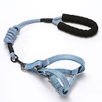 Dog Cat Training Leash Dog Leash Pet Walking Leash Retractable Adjustable Flexible Escape Proof With Anti-Slip Handle Outdoor Walking Solid Colored Nylon Small Dog Medium Dog Blue Pink Orange Green miniinthebox