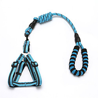 Dog Cat Training Leash Dog Leash Pet Walking Leash Retractable Adjustable Flexible Escape Proof With Anti-Slip Handle Outdoor Walking Stripes Nylon Small Dog Medium Dog Black Red Blue Pink Green miniinthebox