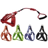 Dog Cat Training Leash Dog Leash Pet Walking Leash Retractable Escape Proof With Anti-Slip Handle Outdoor Walking Solid Colored Nylon Small Dog Medium Dog Black Red Blue Orange Green miniinthebox
